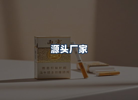 专业团队办公环境